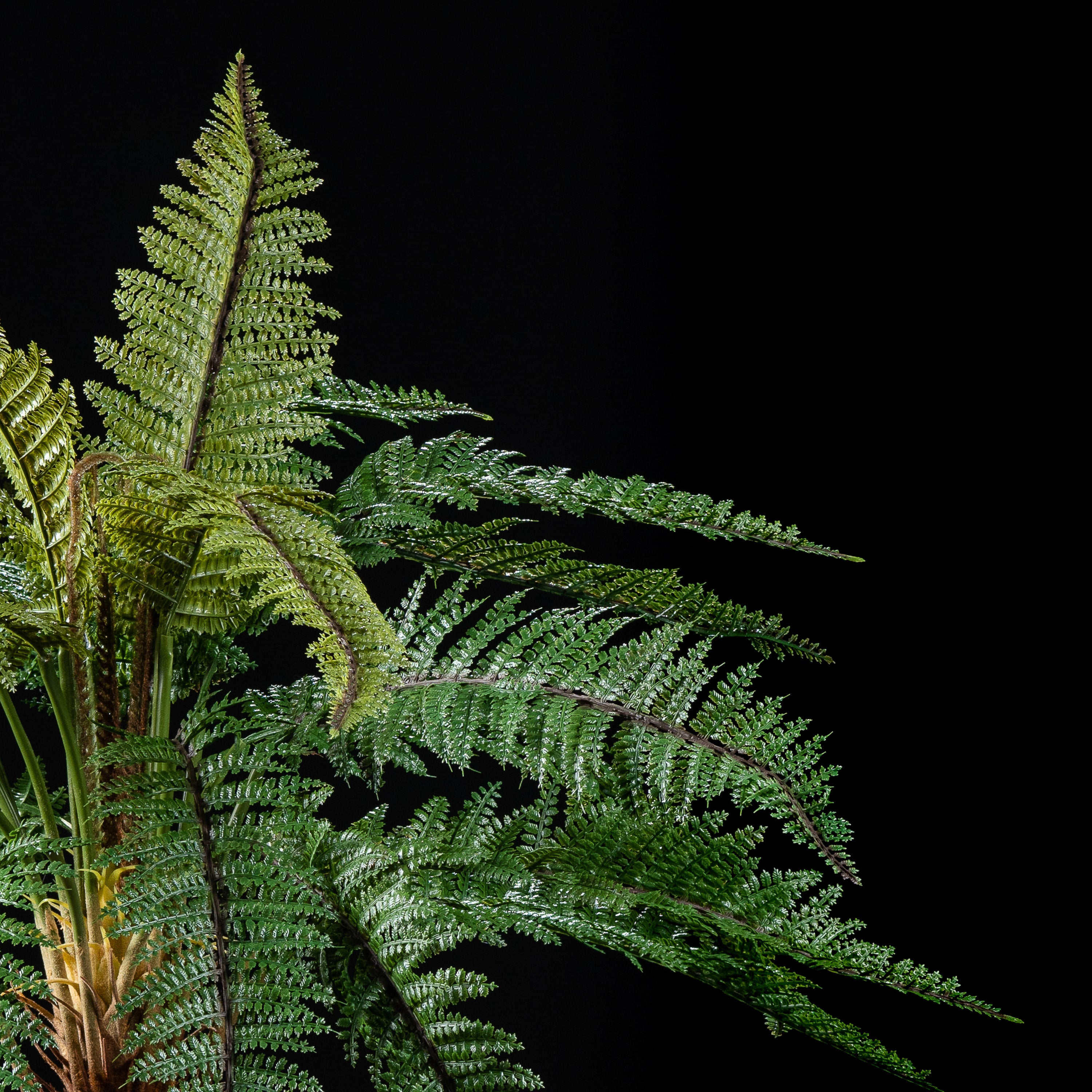 Palmier fougère artificiel Dicksonia tronc 110 cm Galan GA — déco intérieur réaliste