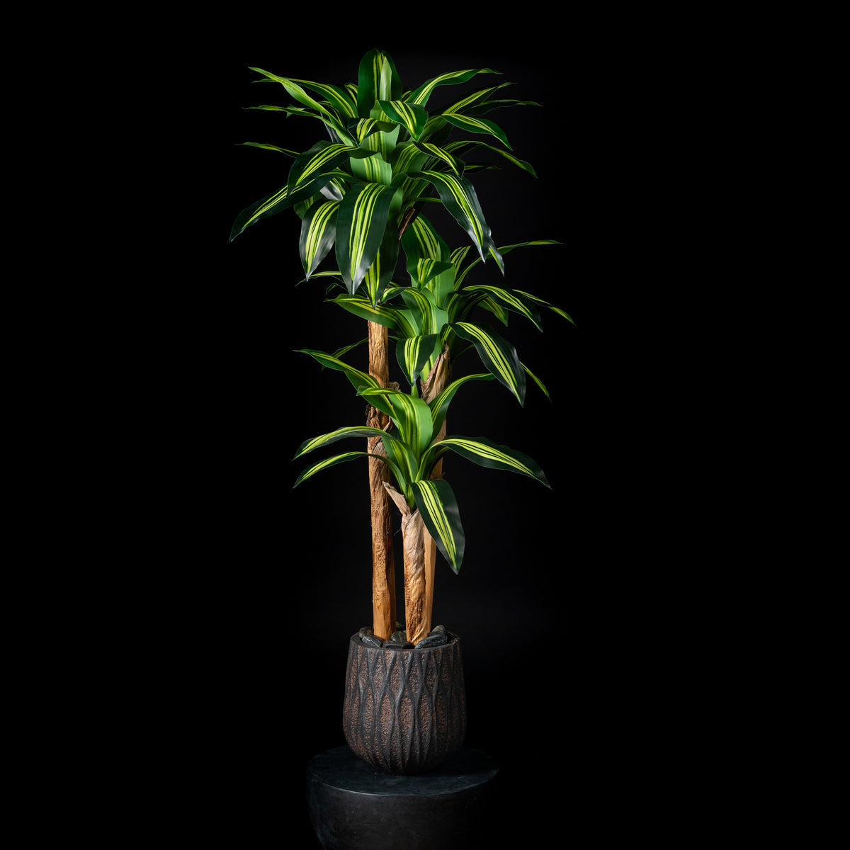 Plante artificielle Dracaena Massangeana 140 cm Galan GA — déco intérieur réaliste sans entretien