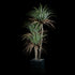 Plante artificielle Dracaena Plante De Dragonnier 170 cm Galan GA — visuel produit pour intérieur