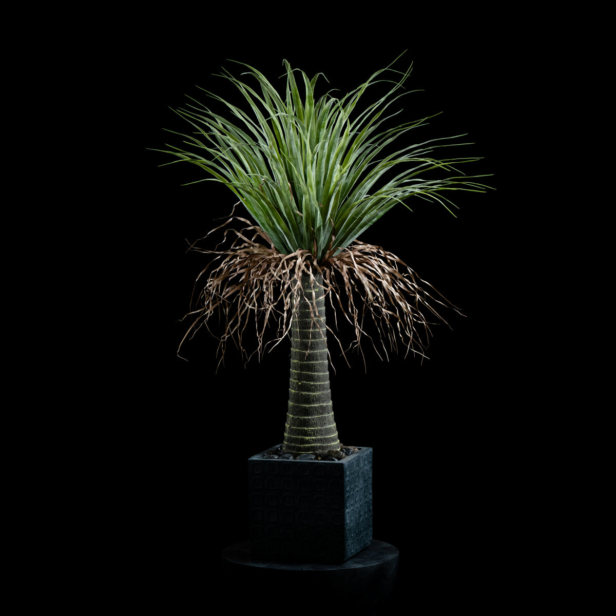 Plante artificielle Dracaena Plante De Dragonnier 110 cm Galan GA — visuel produit pour intérieur