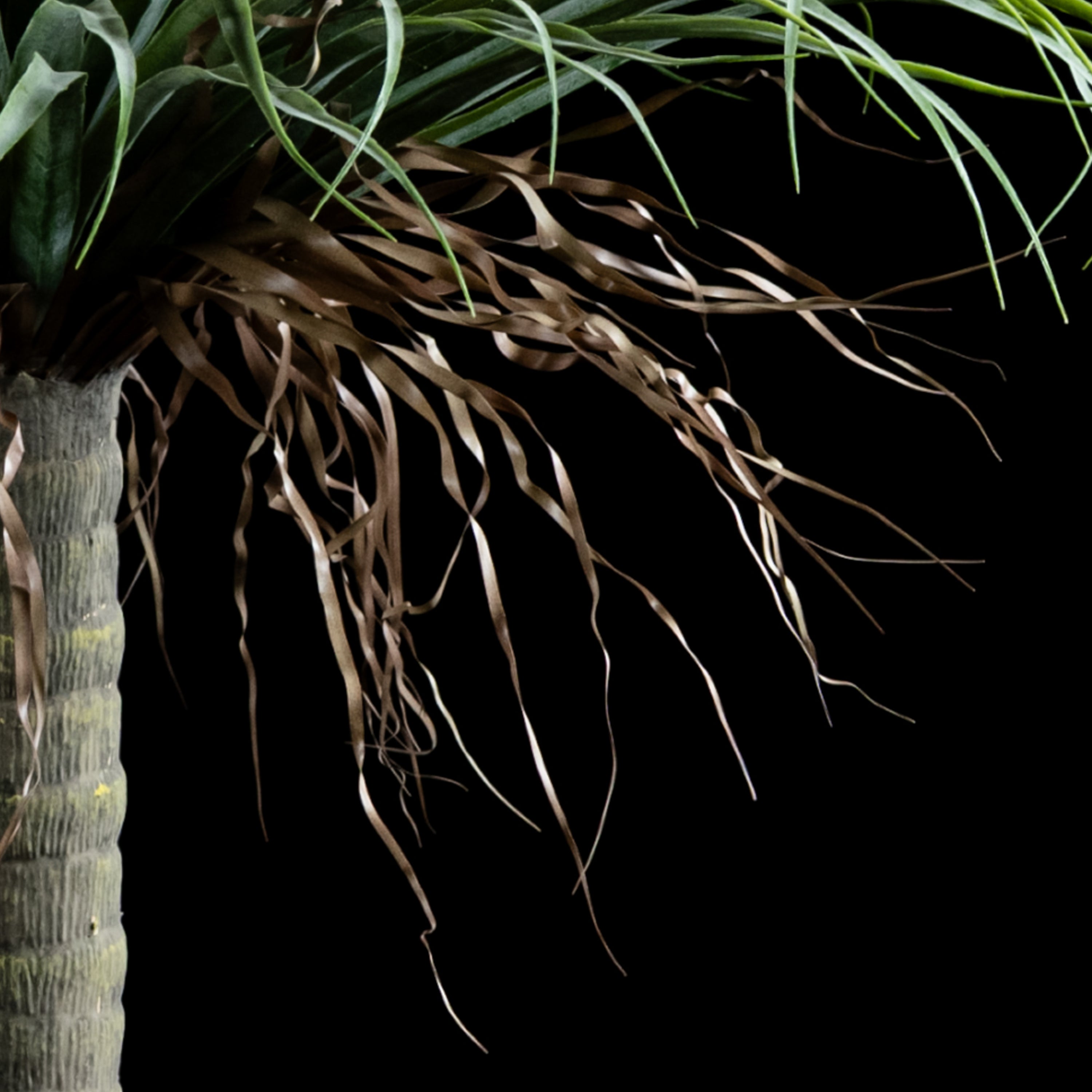 Plante artificielle Dracaena Plante De Dragonnier 140 cm Galan GA — déco intérieur réaliste