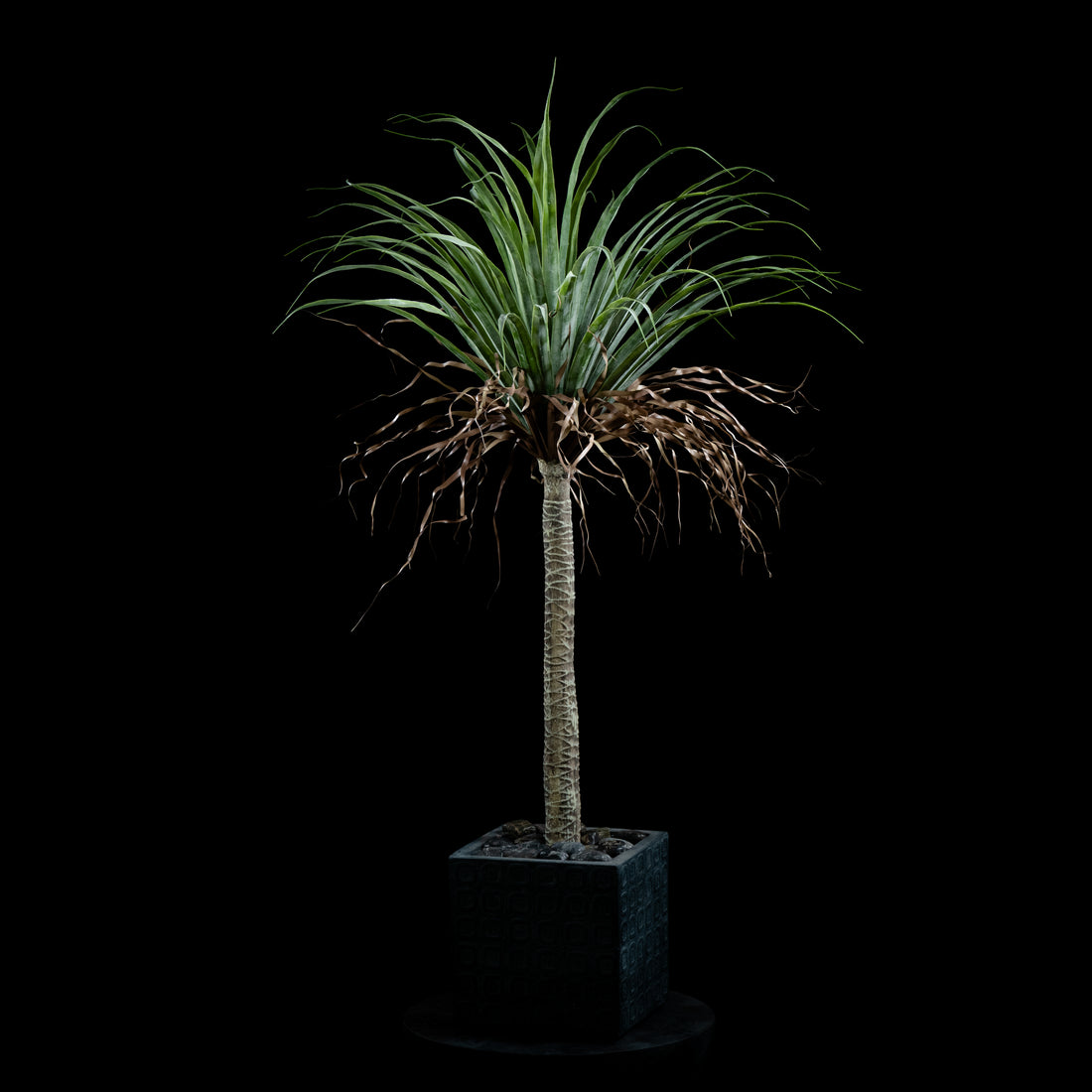Plante artificielle Dracaena Plante De Dragonnier 110 cm Galan GA — déco intérieur réaliste