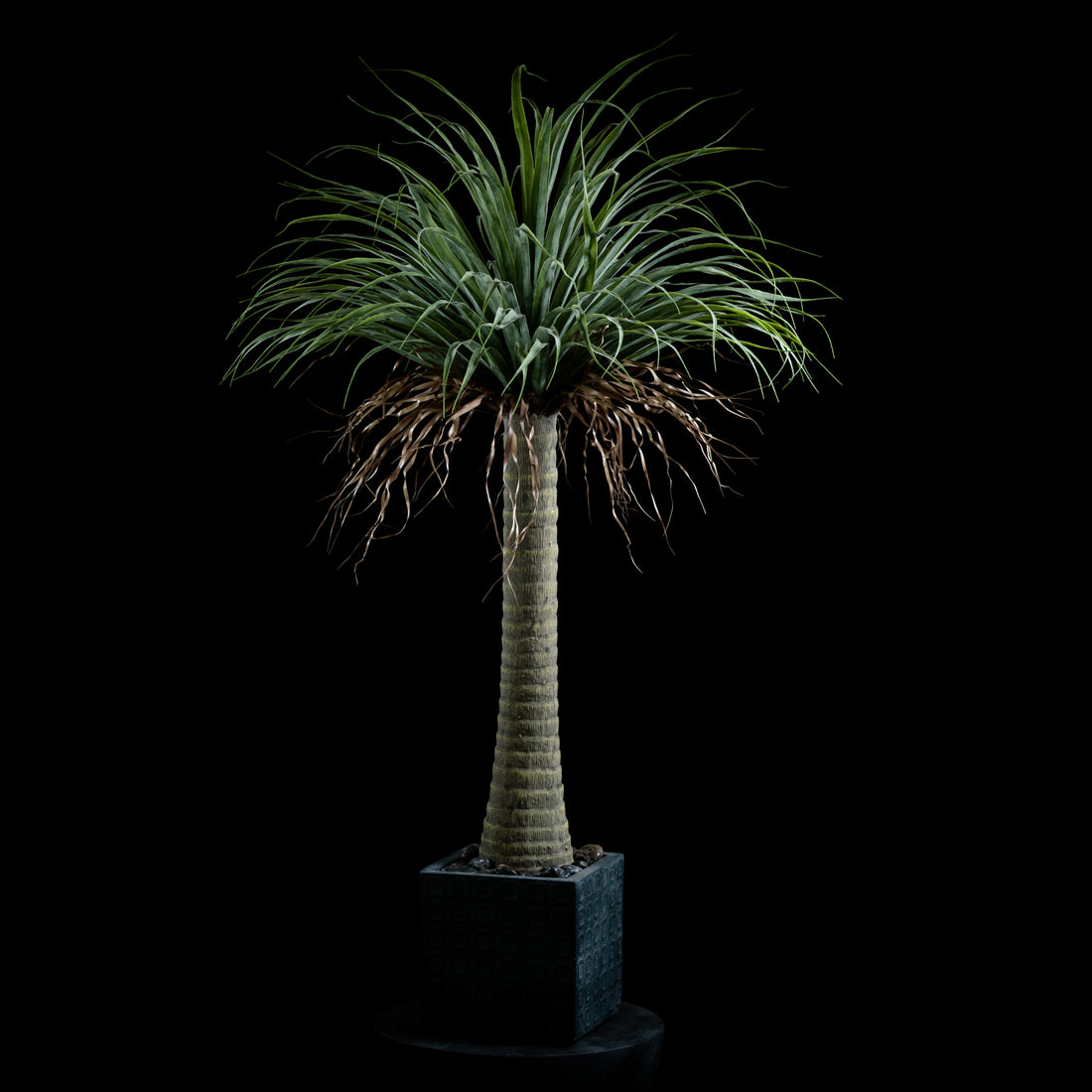 Plante artificielle Dracaena Plante De Dragonnier 140 cm Galan GA — vue alternative, réaliste
