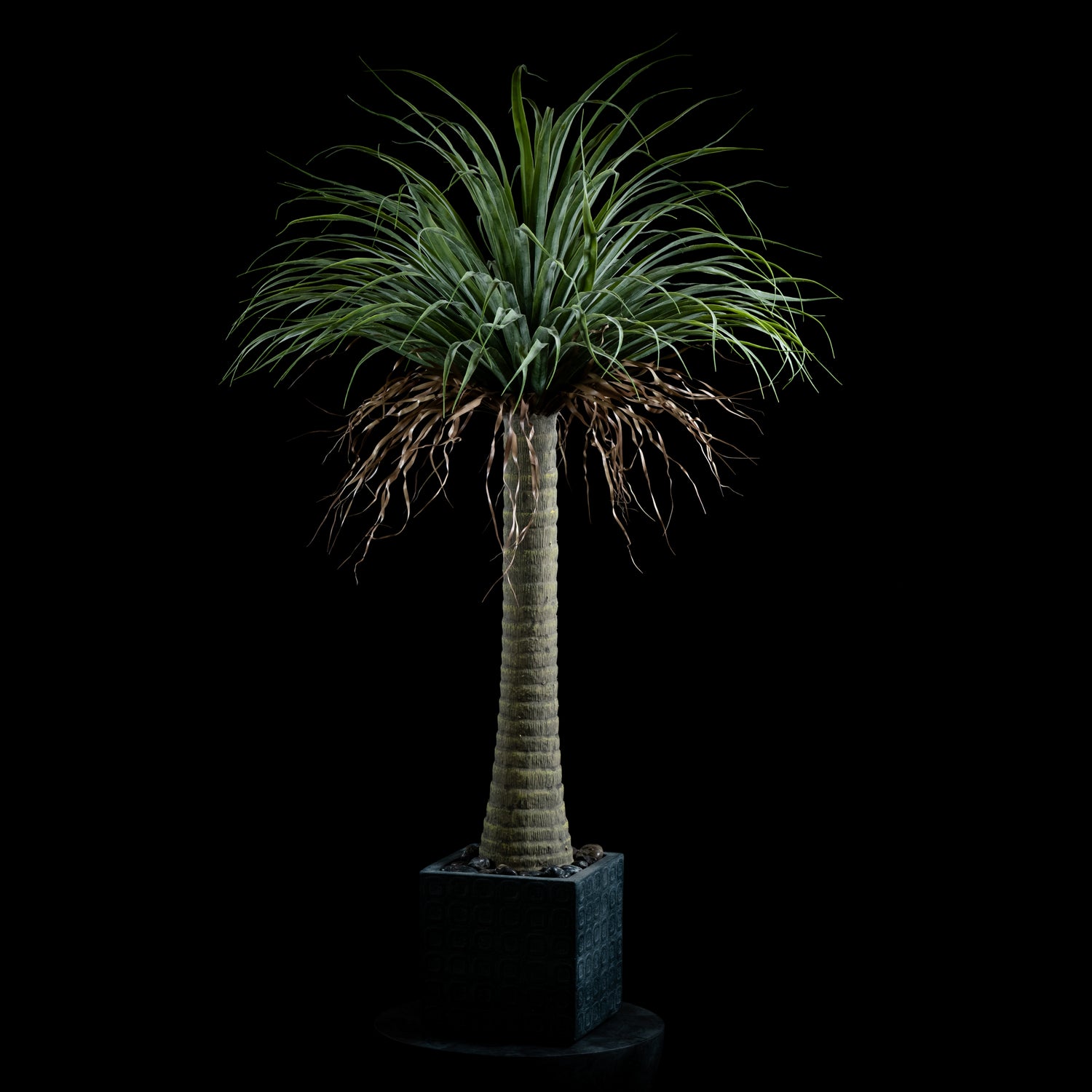 Plante artificielle Dracaena Plante De Dragonnier 140 cm Galan GA — vue alternative, réaliste