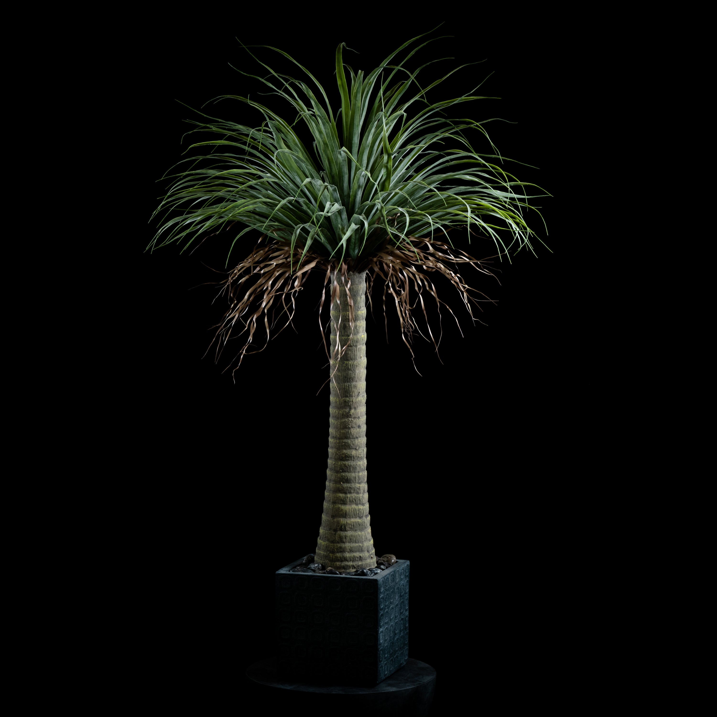 Plante artificielle Dracaena Plante De Dragonnier 140 cm Galan GA — vue alternative, réaliste