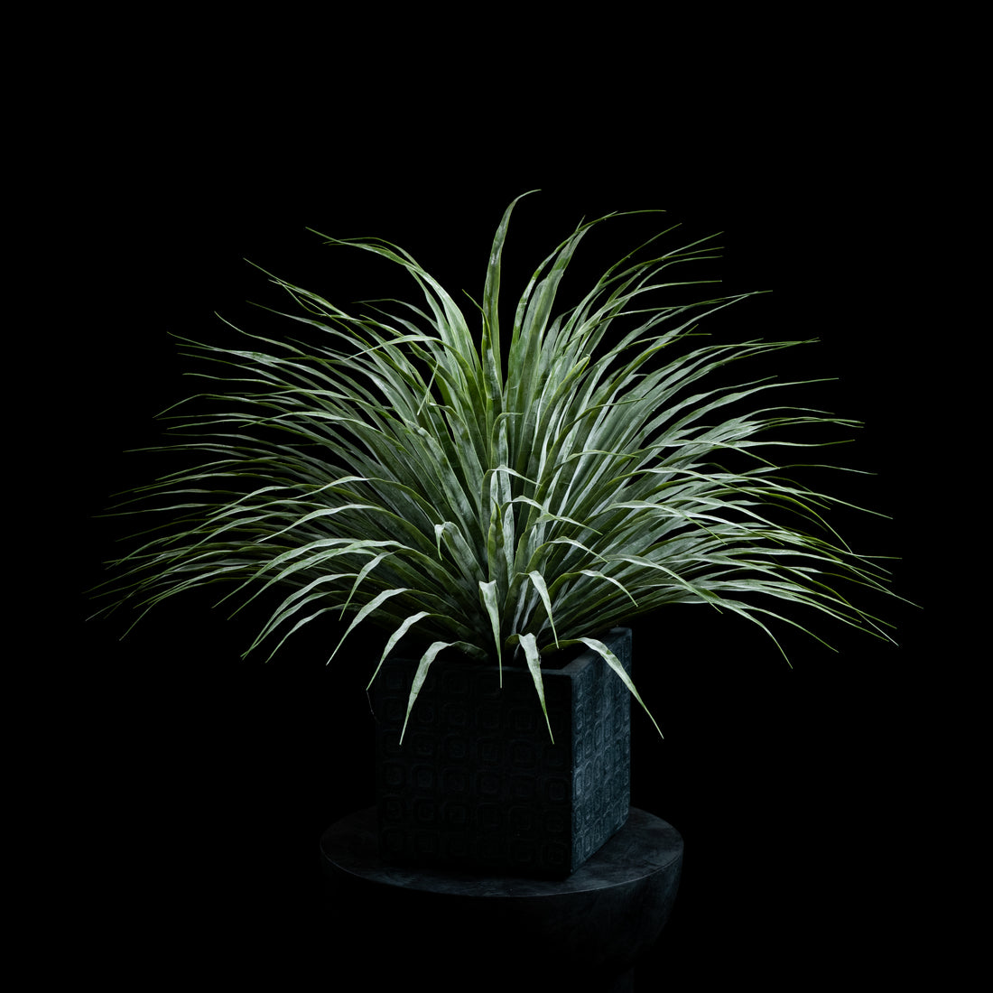 Plante artificielle Dracaena Plante De Dragonnier Tou 70 cm Galan GA — déco intérieur réaliste