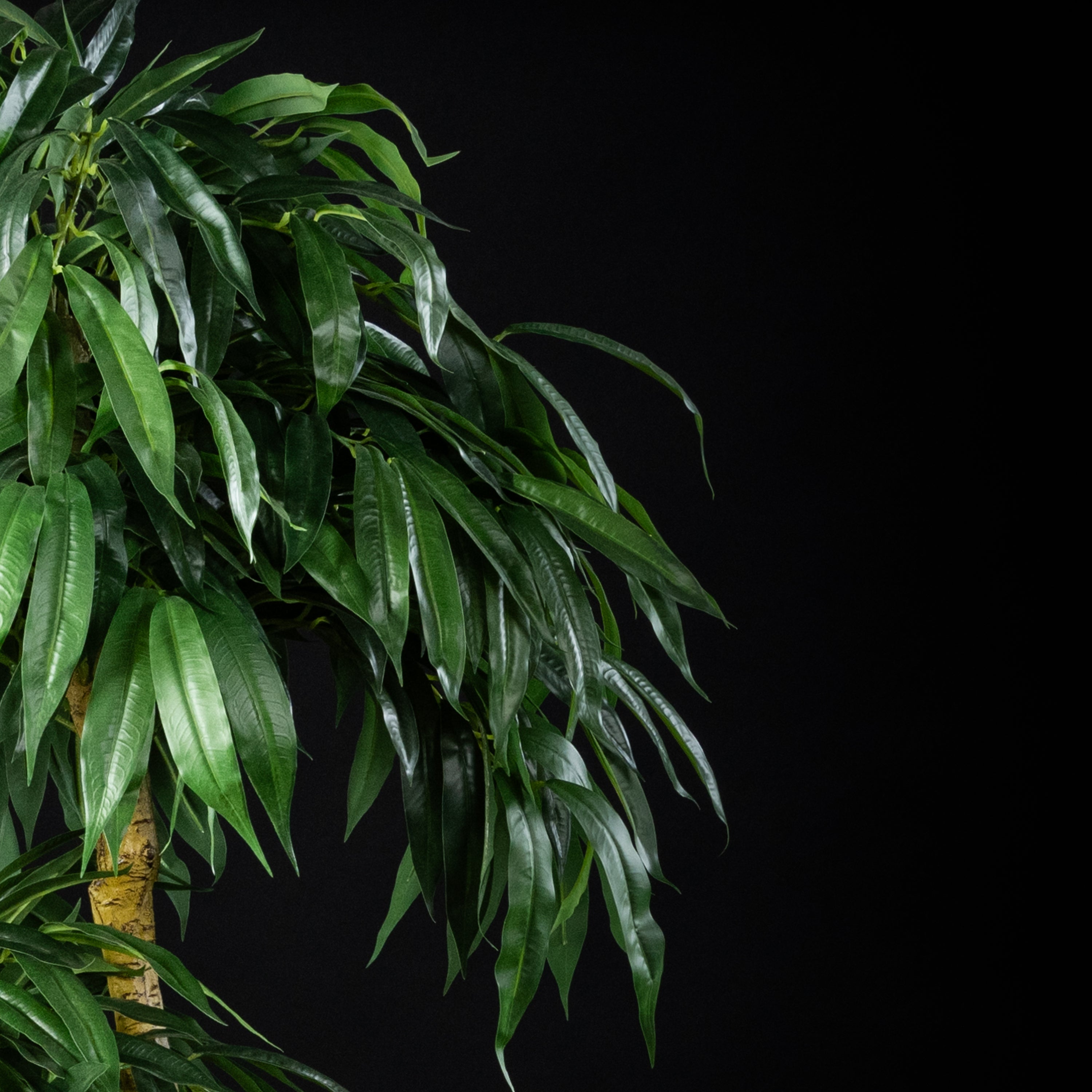 Plante artificielle Ficus Amstel 70 cm Galan GA — déco intérieur réaliste sans entretien