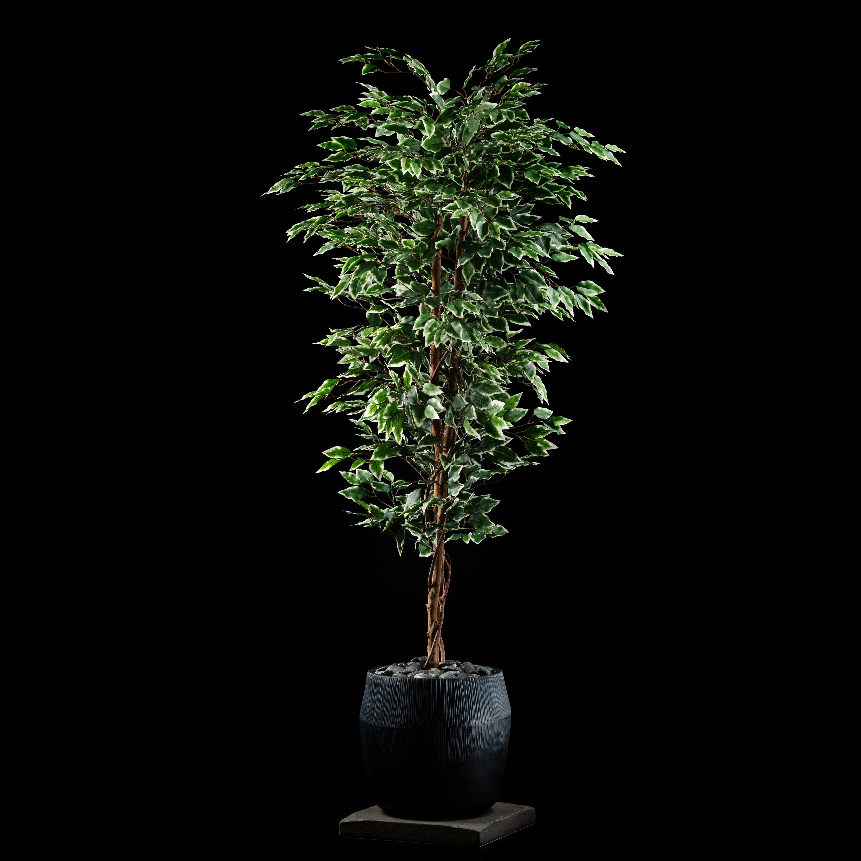 Plante artificielle Ficus Benjamina 180 cm — visuel produit, sans entretien pour intérieur