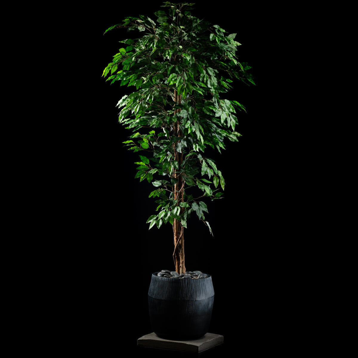 Plante artificielle Ficus Benjamina 180 cm — visuel produit, sans entretien pour intérieur