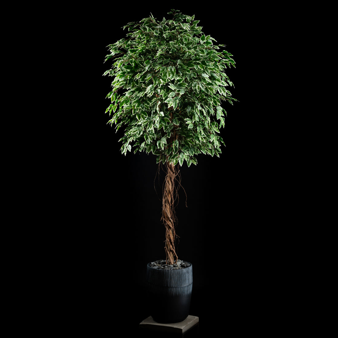 Plante artificielle Ficus Benjamina 240 cm — visuel produit, sans entretien pour intérieur