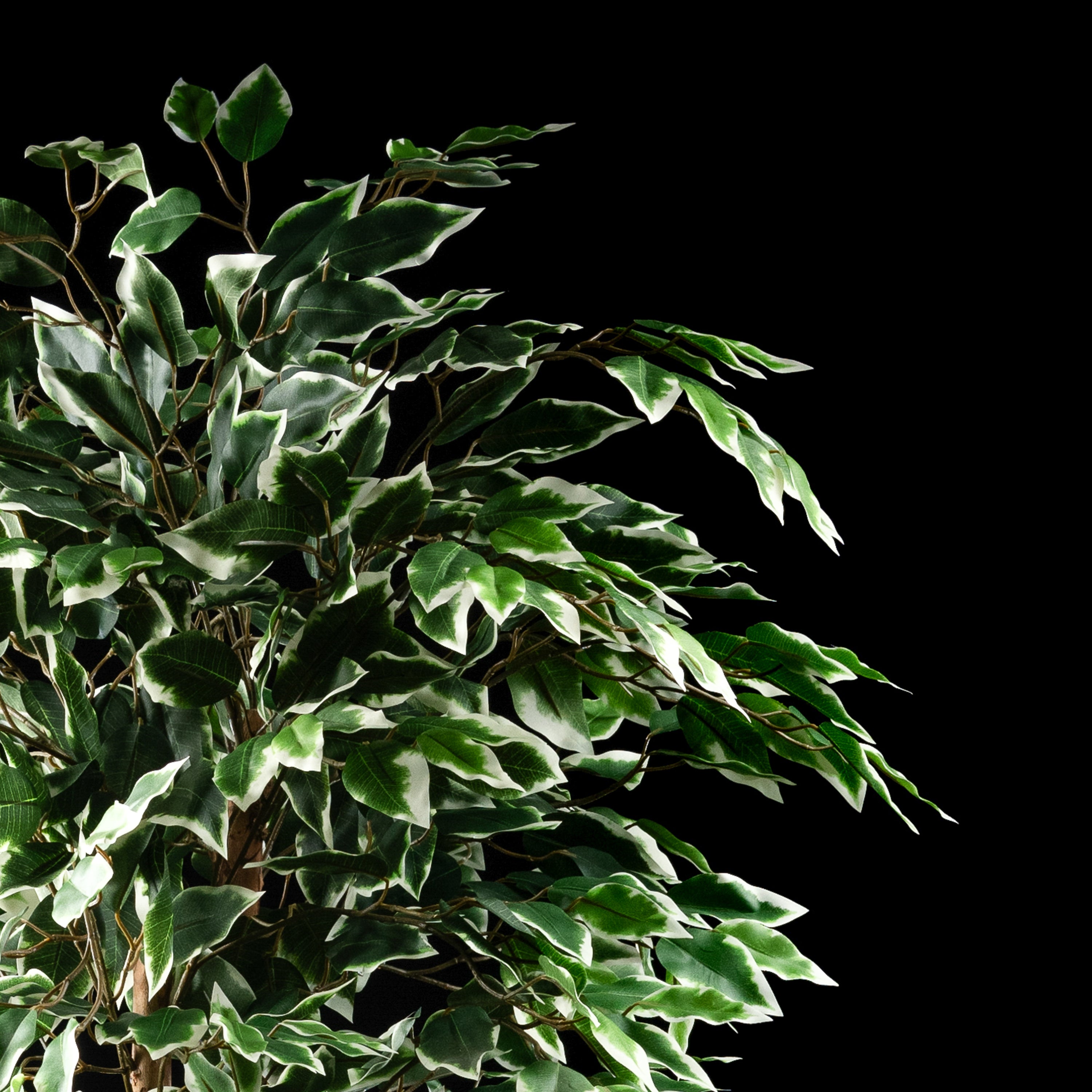 Plante artificielle Ficus Benjamina 150 cm Galan GA — déco intérieur réaliste sans entretien