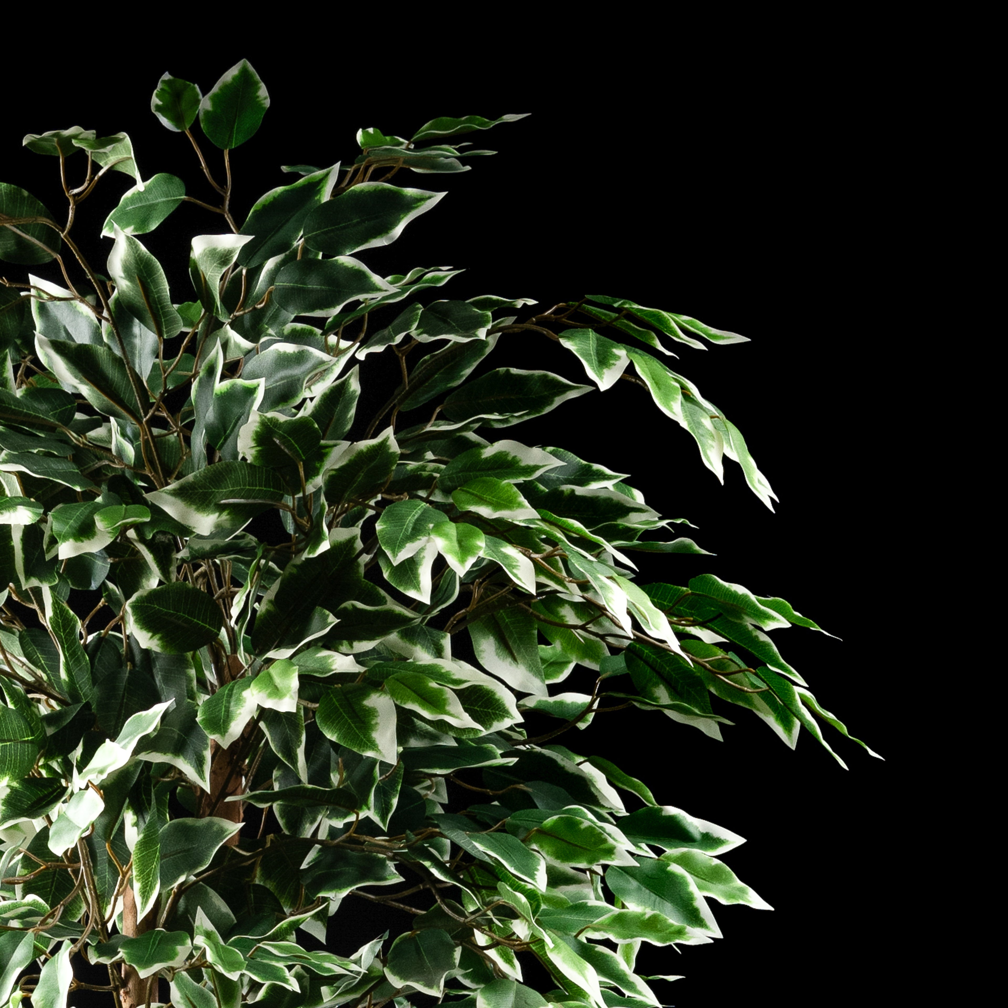 Plante artificielle Ficus Benjamina 150 cm Galan GA — déco intérieur réaliste sans entretien