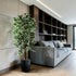 Plante artificielle Ficus Benjamina 150 cm en mise en scène salon — décoration intérieure réaliste