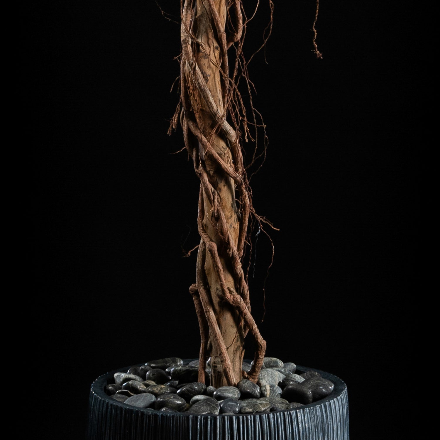 Plante artificielle Ficus Benjamina 240 cm — gros plan, qualité premium réaliste