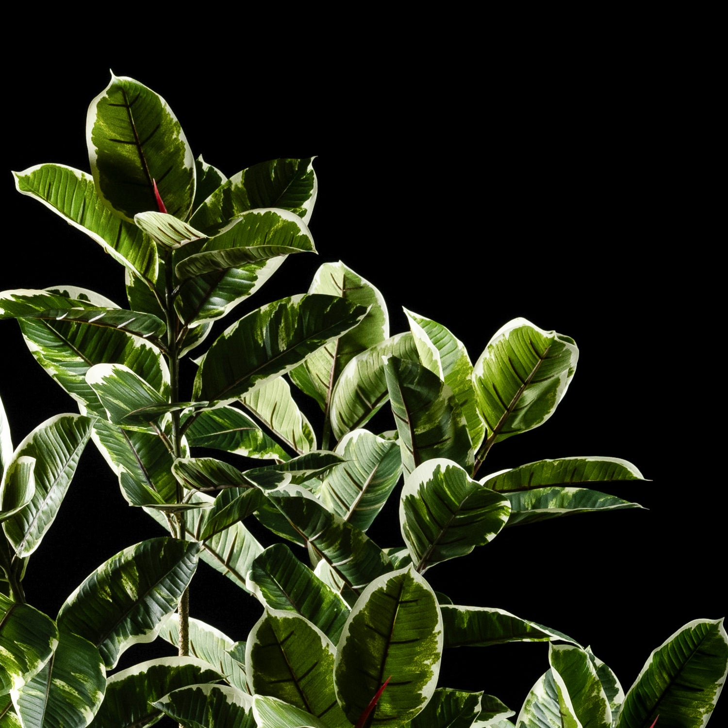 Plante artificielle Ficus Tineke 180 cm Galan GA — déco intérieur réaliste sans entretien