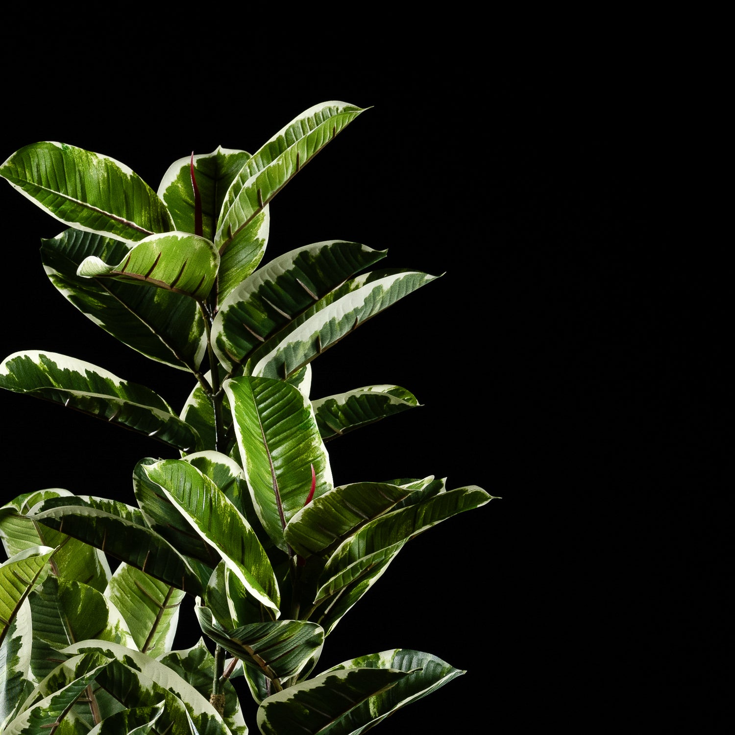 Plante artificielle Ficus Tineke 120 cm Galan GA — déco intérieur réaliste sans entretien