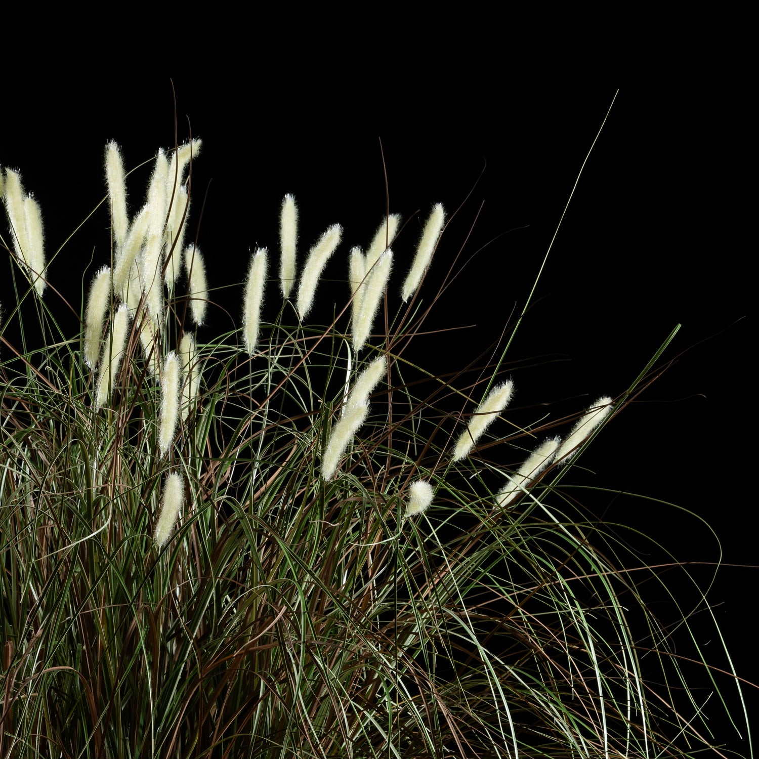 Graminée artificielle Pennisetum 100 cm — détail feuillage réaliste, sans entretien