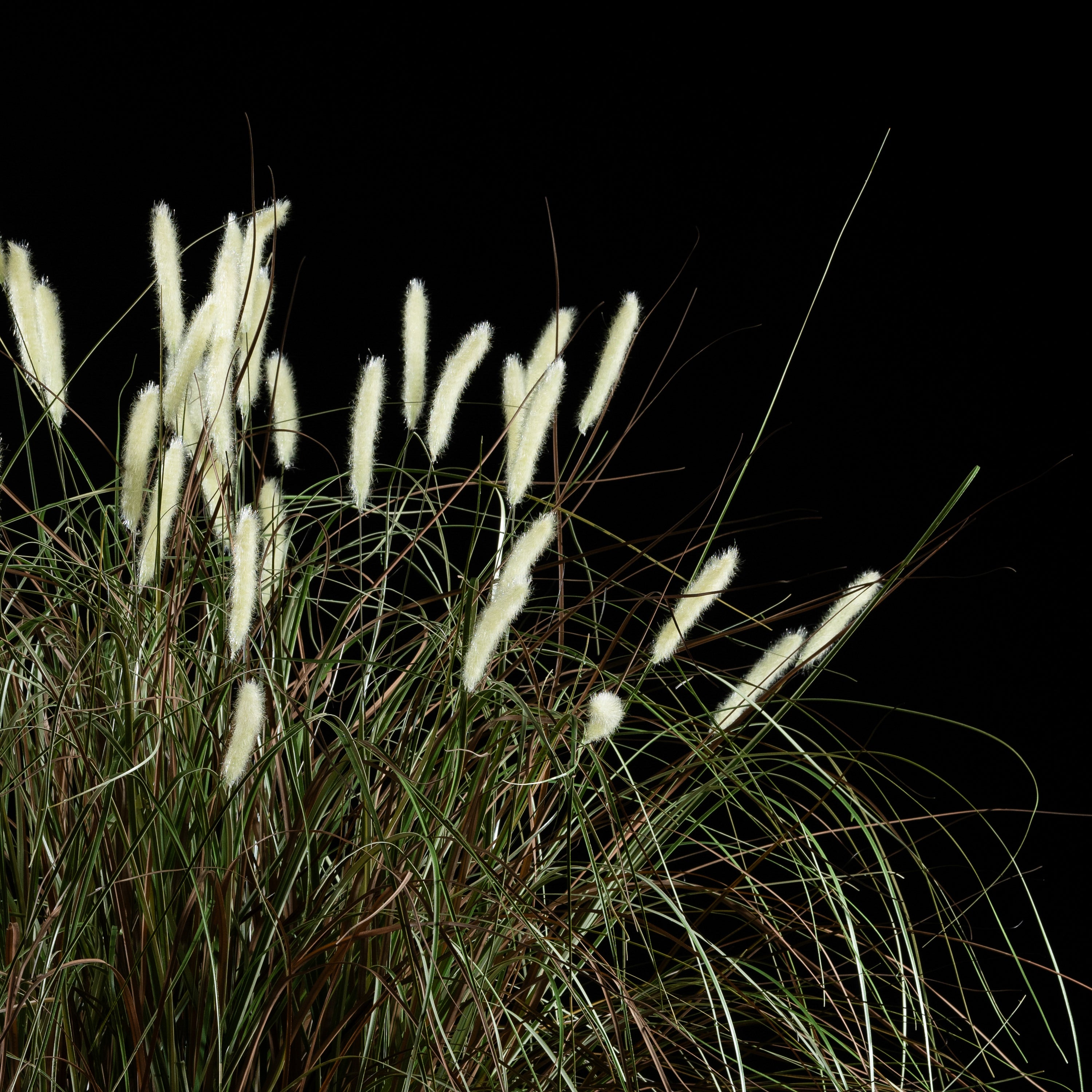 Graminée artificielle Pennisetum 100 cm — détail feuillage réaliste, sans entretien