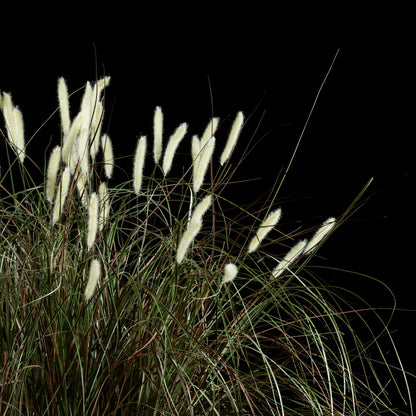 Graminée artificielle Pennisetum 100 cm — détail feuillage réaliste, sans entretien