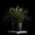 Graminée Pennisetum — graminée artificielle réaliste pour intérieur et extérieur, herbe ornementale décorative