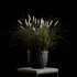 Graminée Pennisetum — graminée artificielle réaliste pour intérieur et extérieur, herbe ornementale décorative