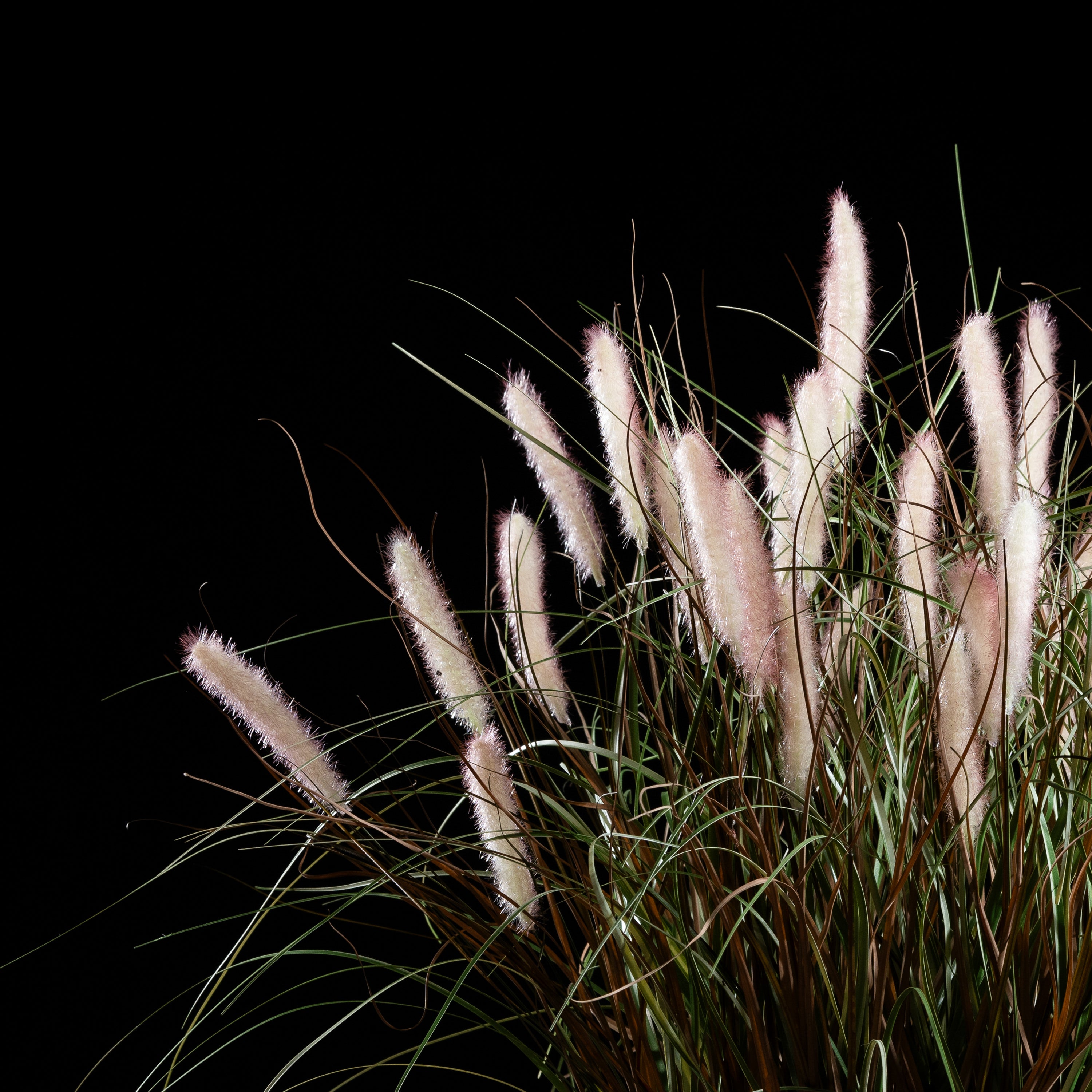 Graminée artificielle Pennisetum 80 cm — vue alternative, plante d&