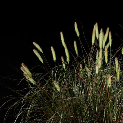 Graminée artificielle Pennisetum 100 cm — vue alternative, plante d&