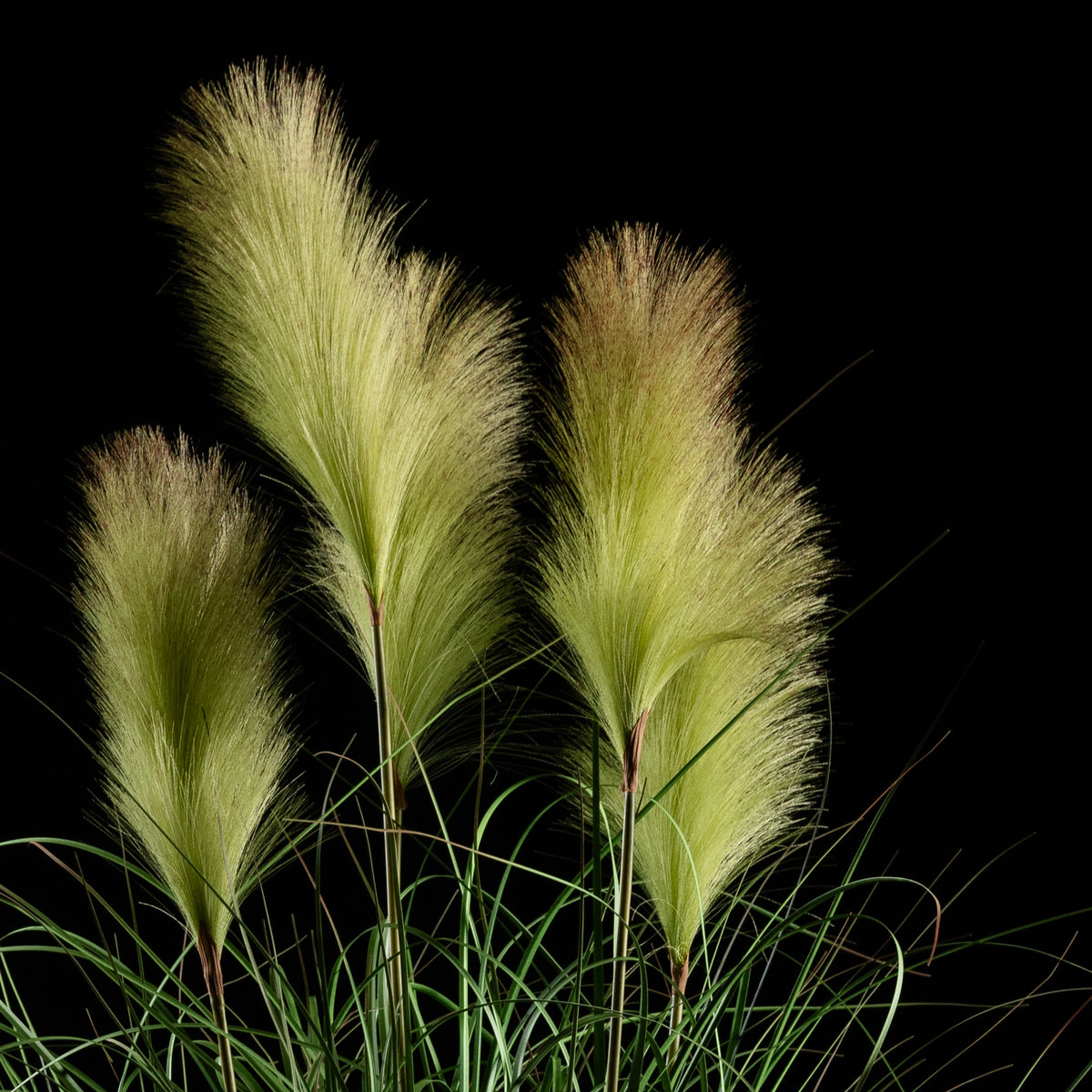 Graminée artificielle Roseau à Plumes 110 cm — gros plan, qualité premium réaliste