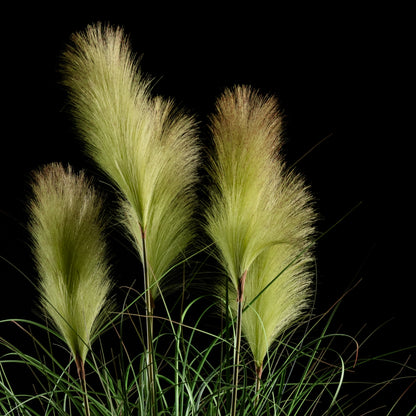 Graminée artificielle Roseau à Plumes 110 cm — gros plan, qualité premium réaliste