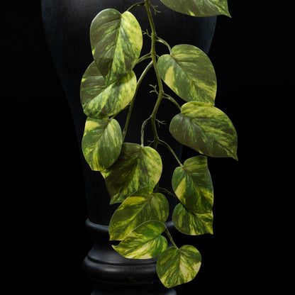 Guirlande végétale artificielle Pothos 119 cm Galan GA — détail feuillage réaliste, sans entretien
