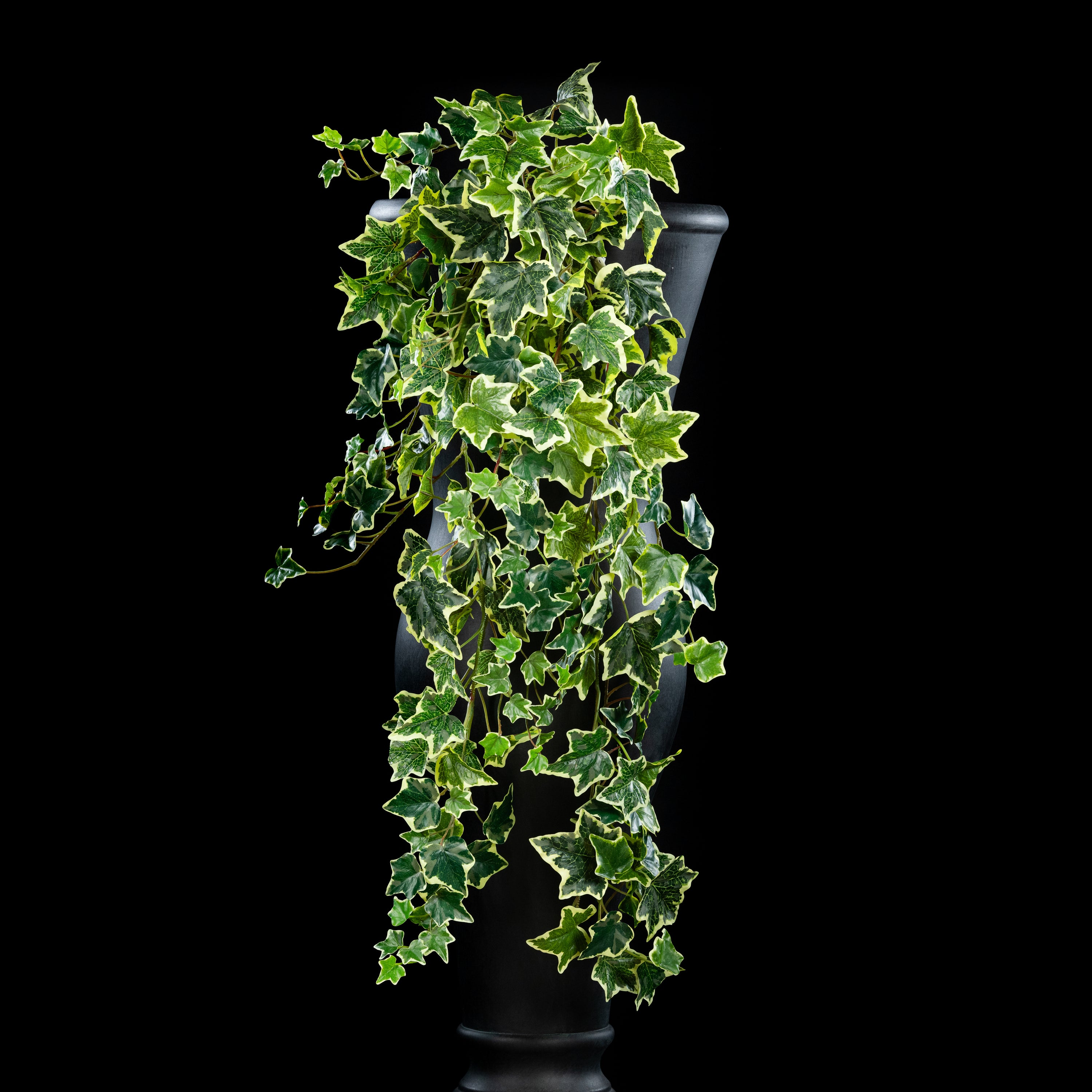 Chute - Hedera