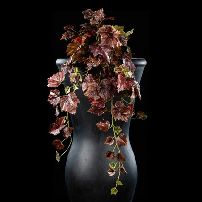 Chute - Automnale Ampelopsis