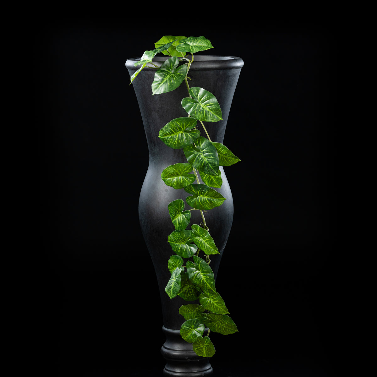 Guirlande Syngonium