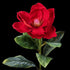 Magnolia artificiel en velours rouge 51 cm, fleur ouverte et grandes feuilles