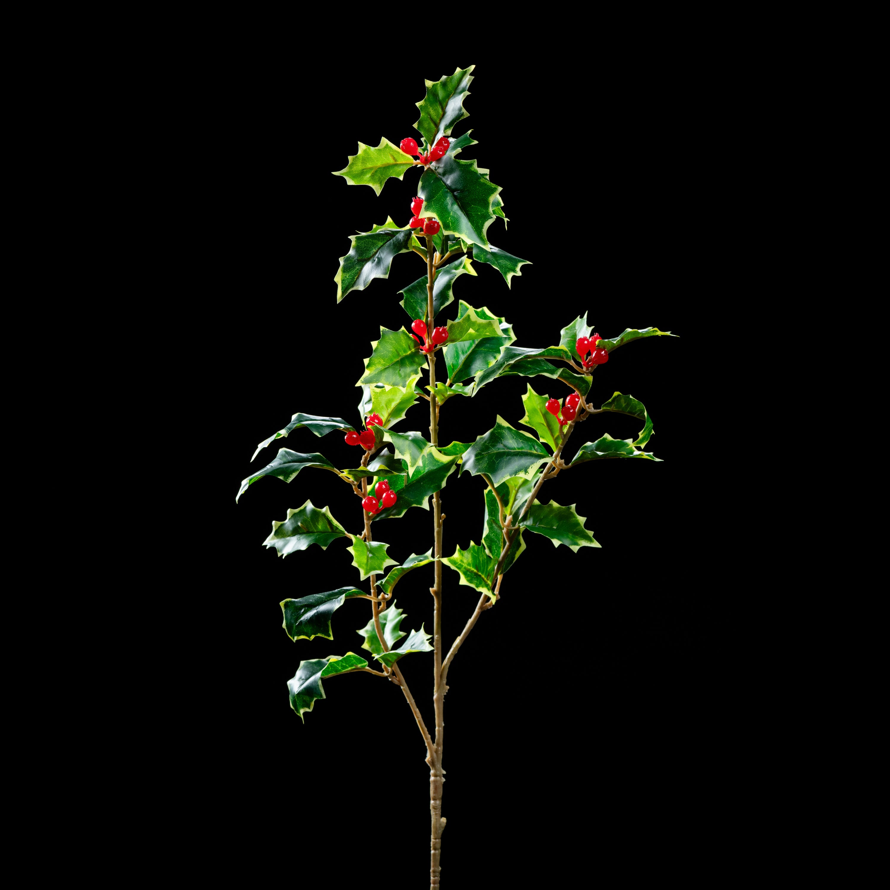 Branche de houx artificielle Natura 70 cm Galan GA — déco intérieur réaliste sans entretien
