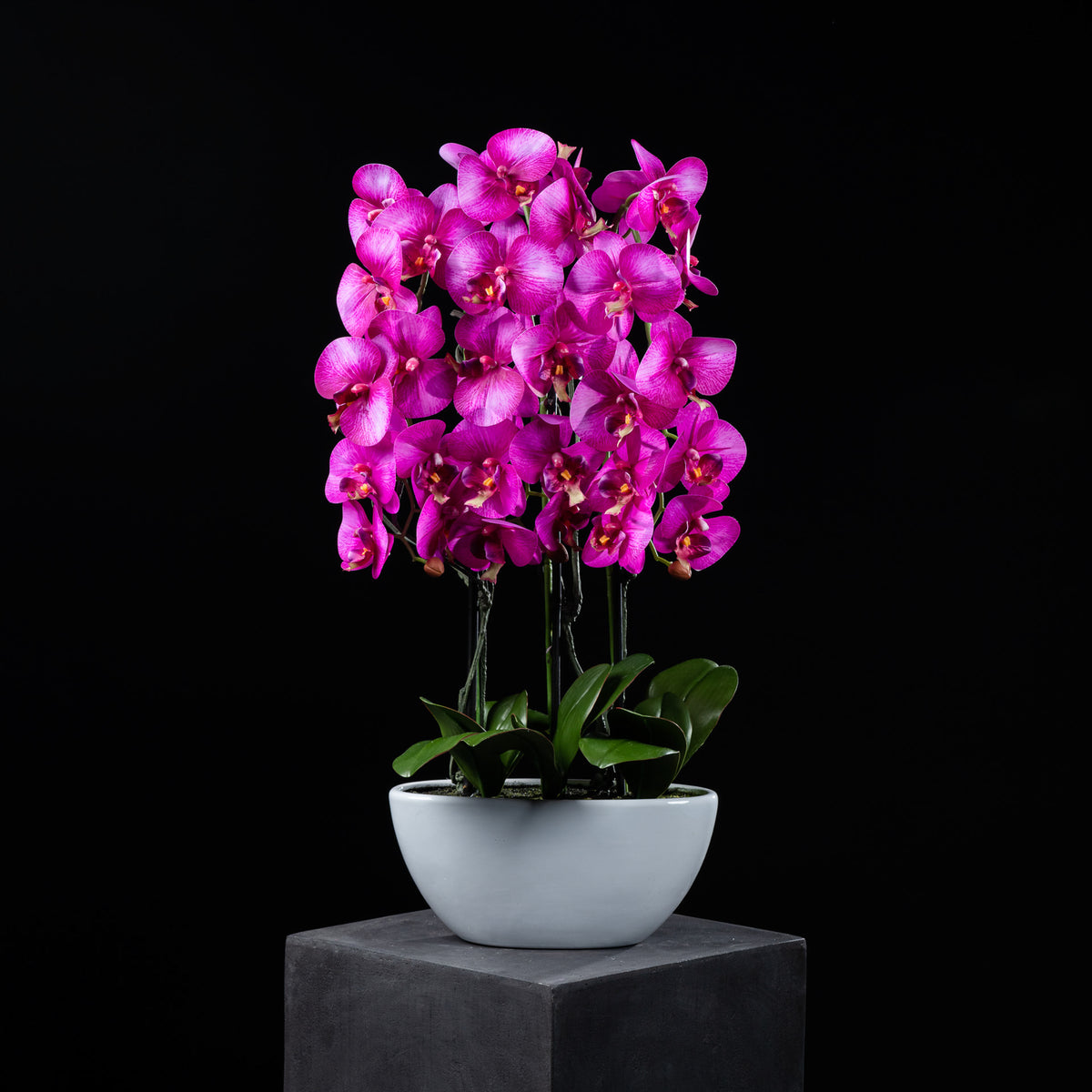 Orchidée artificielle 76 cm Galan GA — déco intérieur réaliste sans entretien