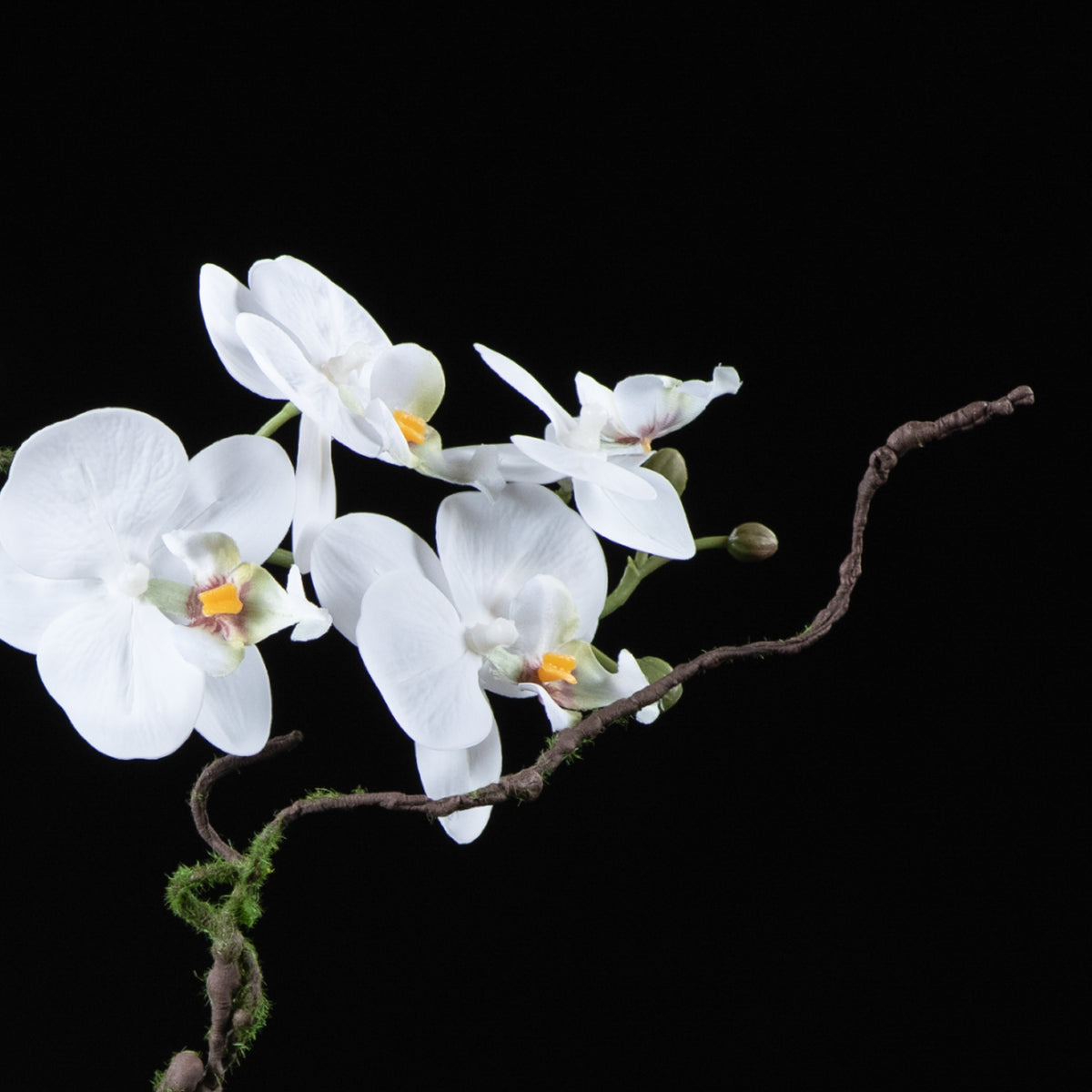 Orchidée artificielle Phalaénopsis Amabilis 55 cm Galan GA — vue alternative, plante d&