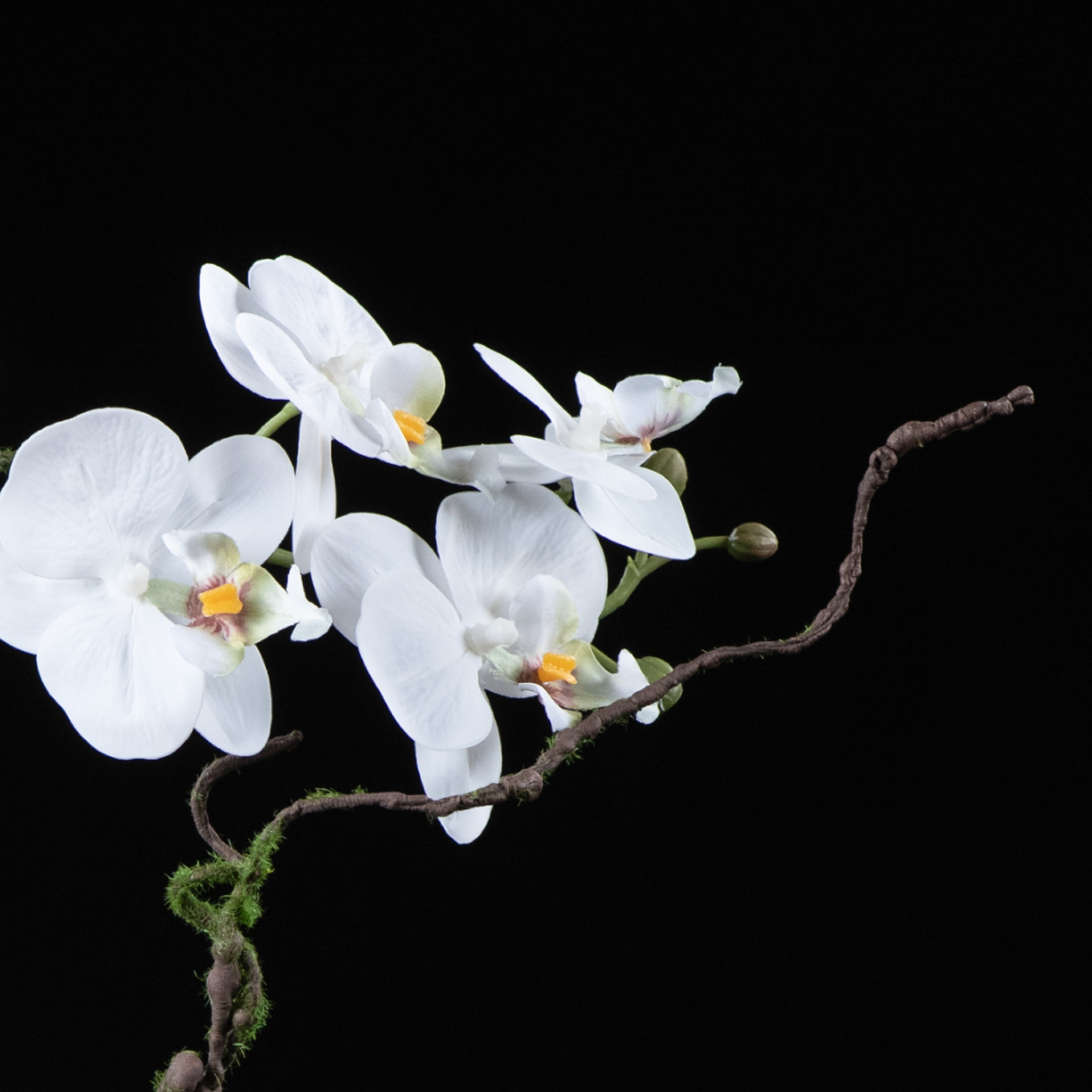 Orchidée artificielle Phalaénopsis Amabilis 55 cm Galan GA — vue alternative, plante d&
