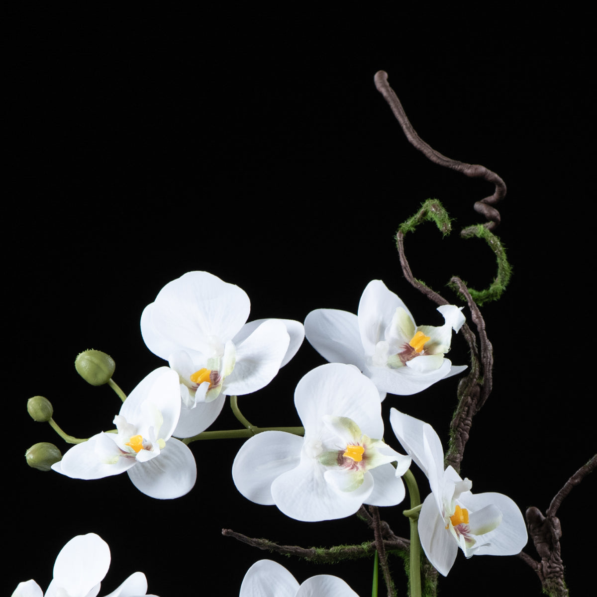 Orchidée artificielle Phalaénopsis Amabilis 46 cm Galan GA — vue alternative, plante d&