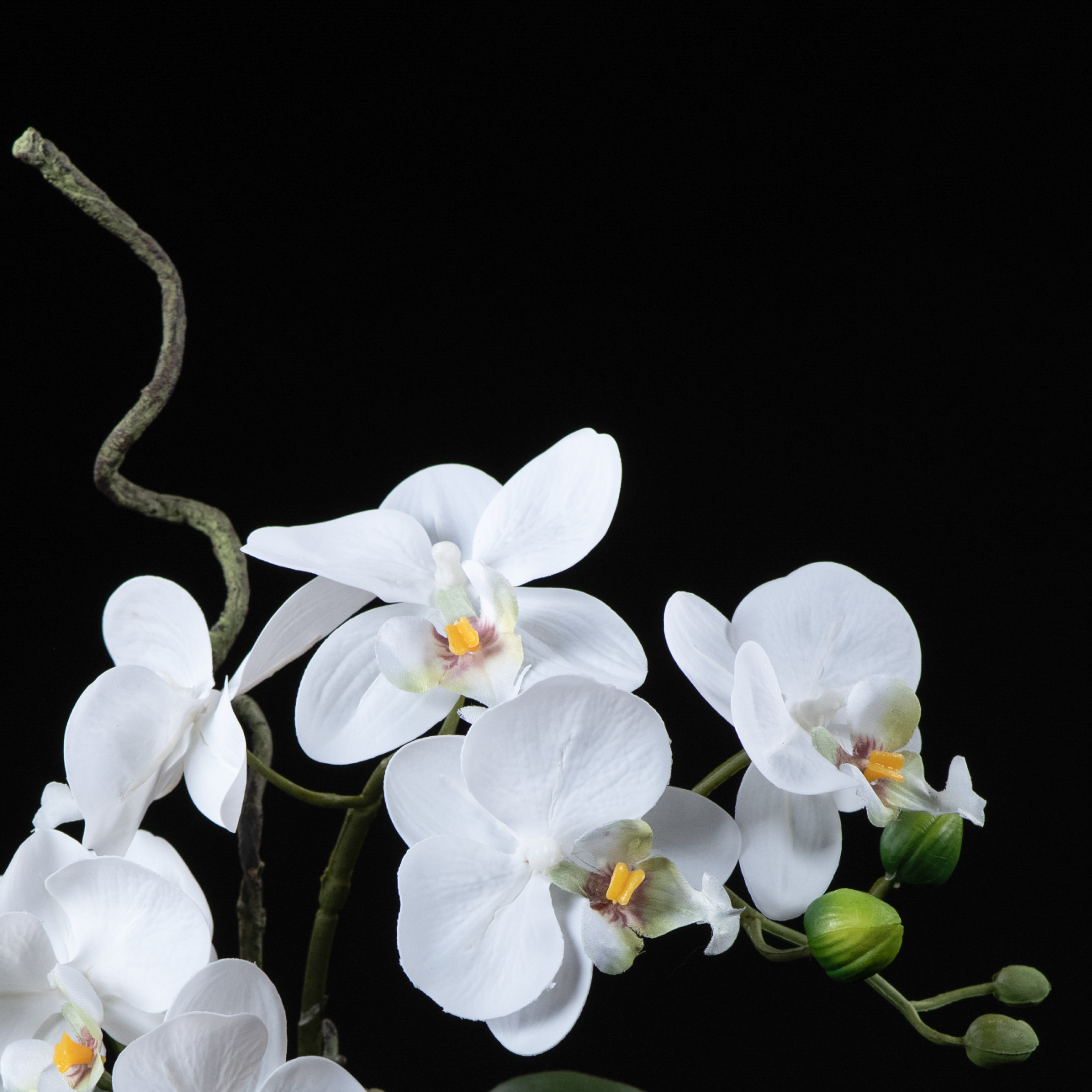 Orchidée artificielle Phalaénopsis Amabilis 34 cm Galan GA — détail fleurs réaliste, sans entretien