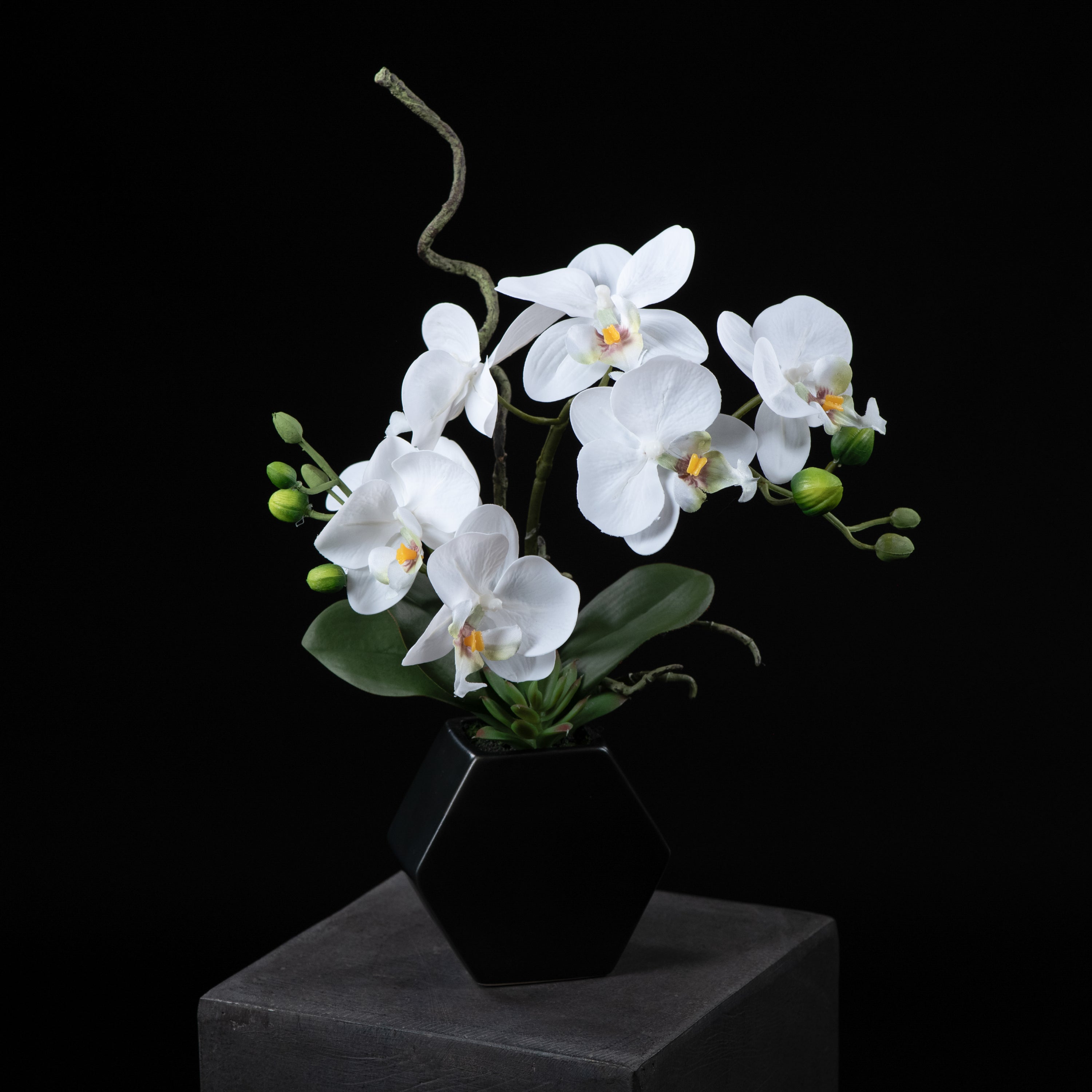 Orchidée artificielle Phalaénopsis Amabilis 34 cm Galan GA — vue alternative, plante d&