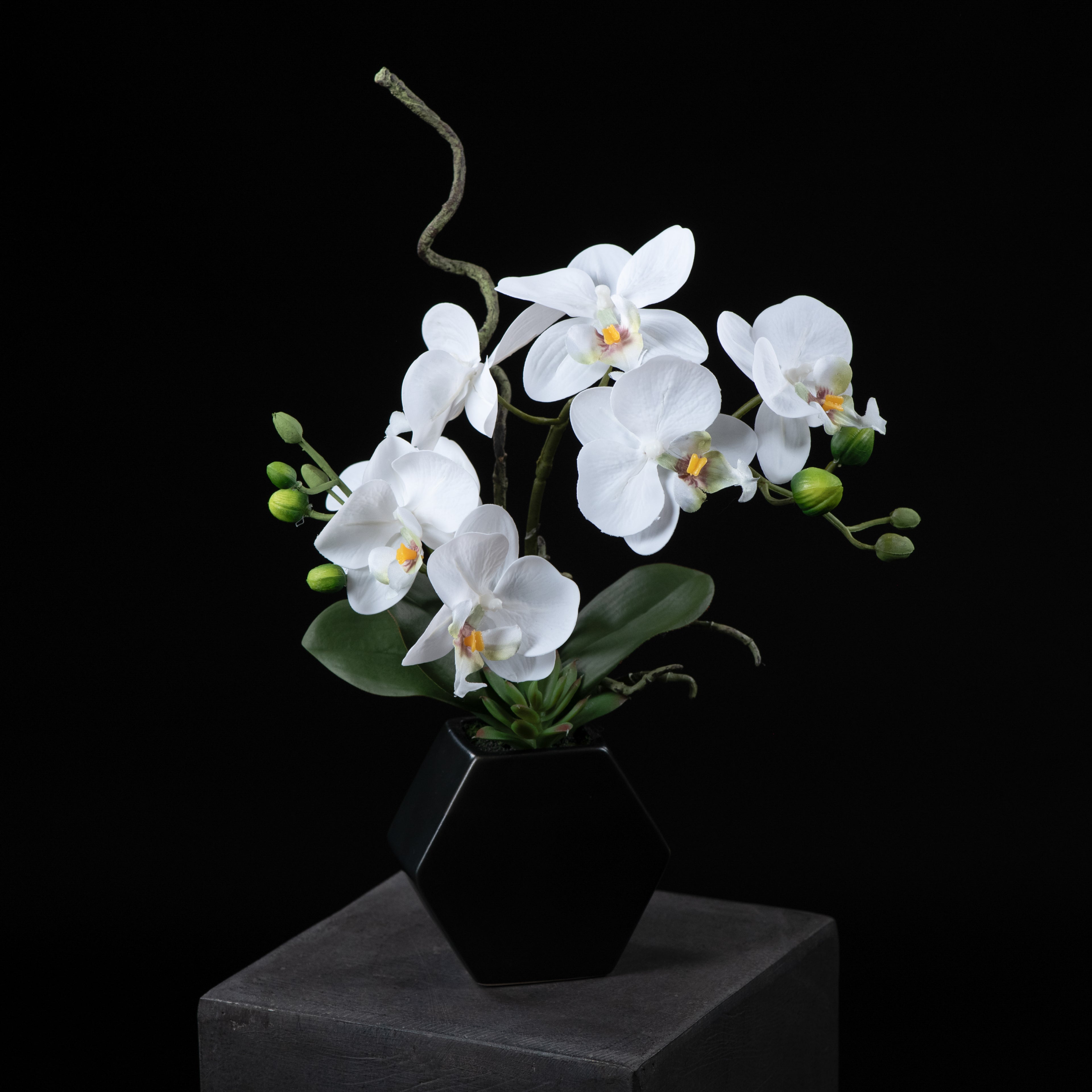 Orchidée artificielle Phalaénopsis Amabilis 34 cm Galan GA — vue alternative, plante d&