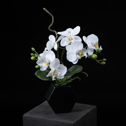 Orchidée artificielle Phalaénopsis Amabilis 34 cm Galan GA — vue alternative, plante d&