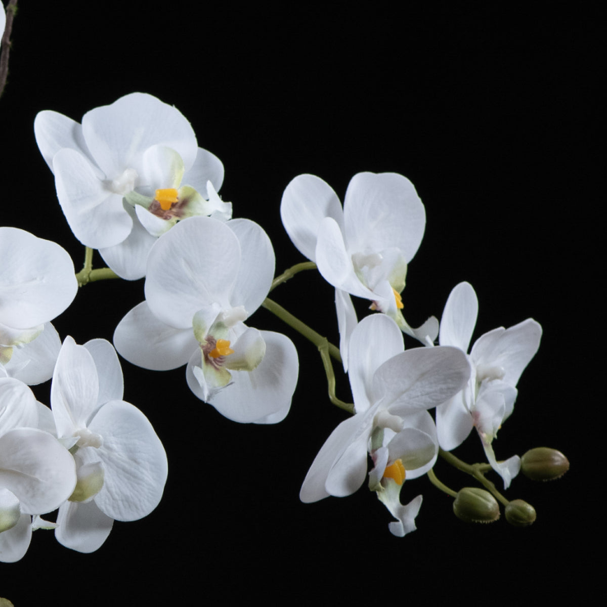 Orchidée artificielle Phalaénopsis Amabilis 57 cm Galan GA — vue alternative, plante d&