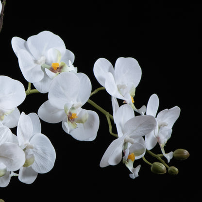Orchidée artificielle Phalaénopsis Amabilis 57 cm Galan GA — vue alternative, plante d&