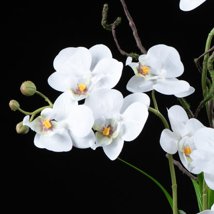 Orchidée artificielle Phalaénopsis Amabilis 55 cm Galan GA — gros plan, qualité premium réaliste