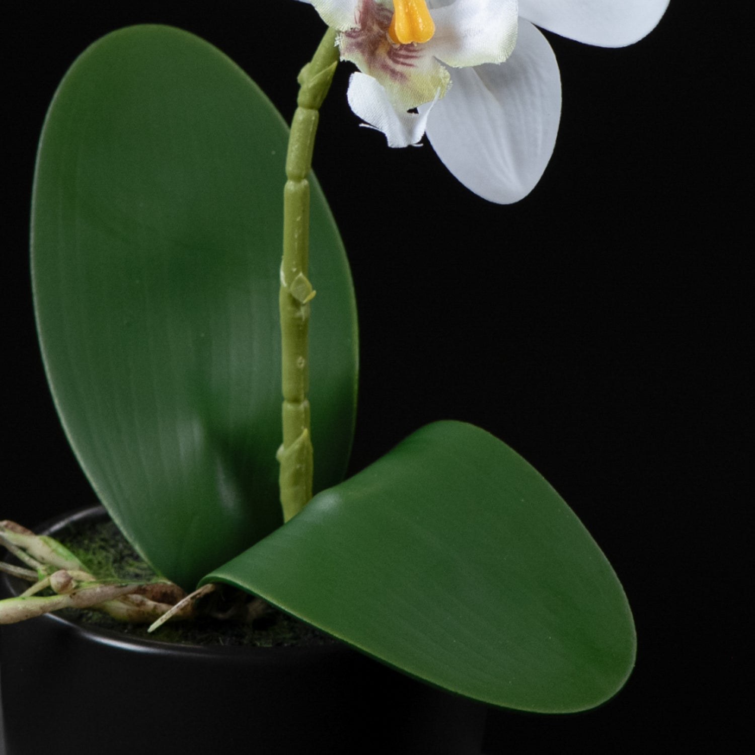 Orchidée artificielle Phalaénopsis Amabilis 26 cm Galan GA — gros plan, qualité premium réaliste