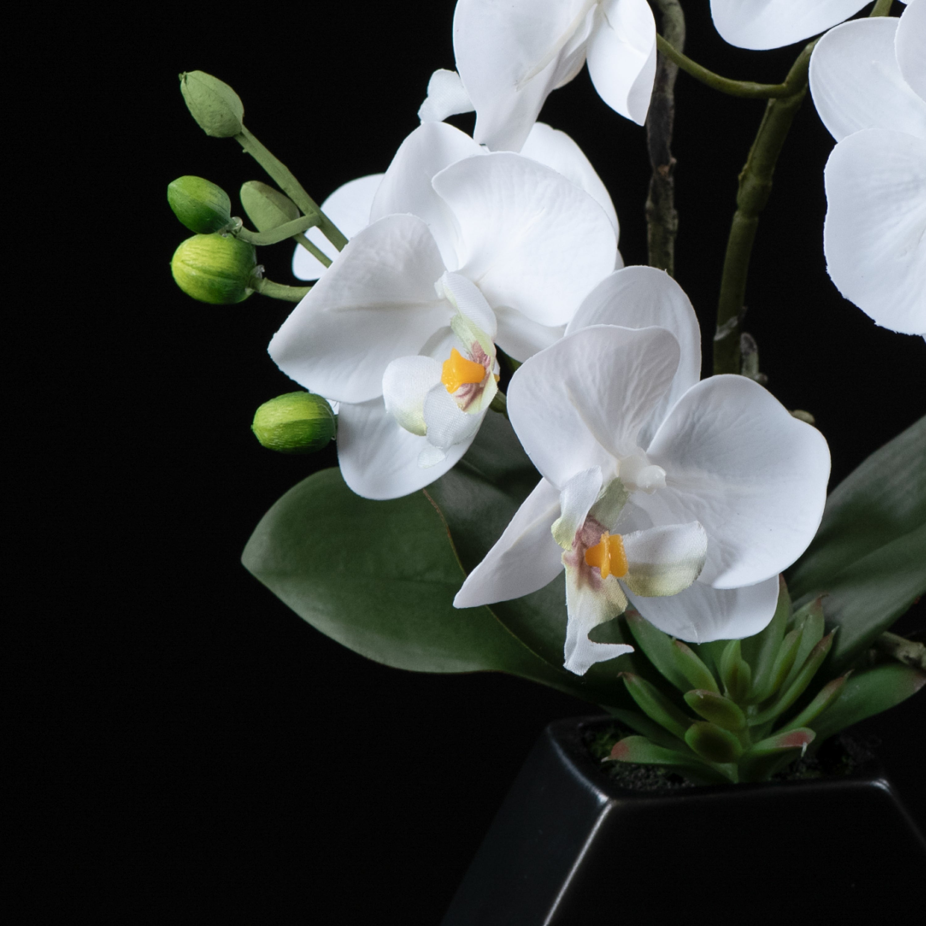 Orchidée artificielle Phalaénopsis Amabilis 34 cm Galan GA — gros plan, qualité premium réaliste