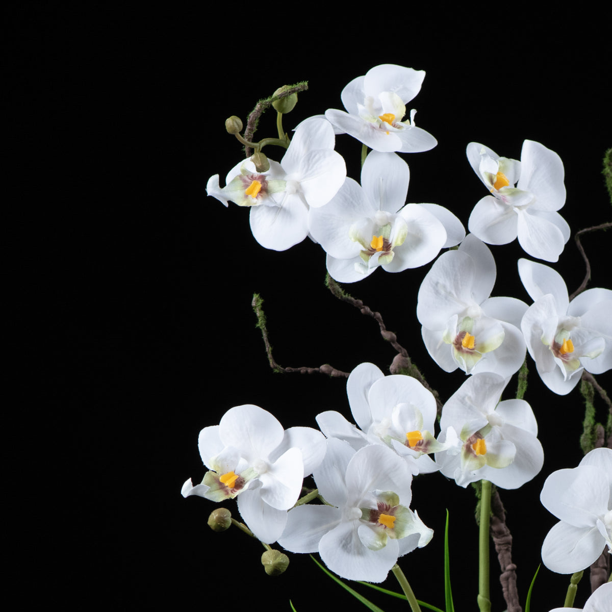 Orchidée artificielle Phalaénopsis Amabilis 57 cm Galan GA — gros plan, qualité premium réaliste