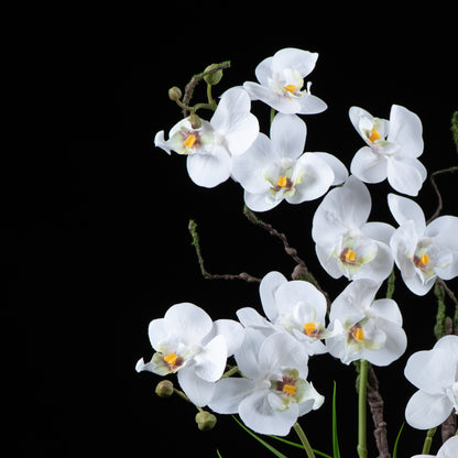 Orchidée artificielle Phalaénopsis Amabilis 57 cm Galan GA — gros plan, qualité premium réaliste